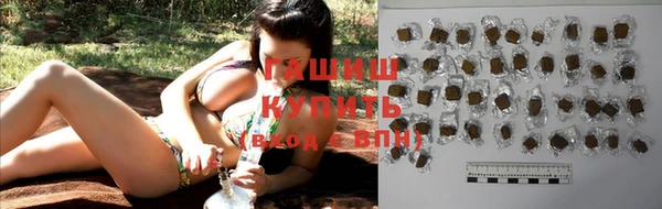сатива Бородино