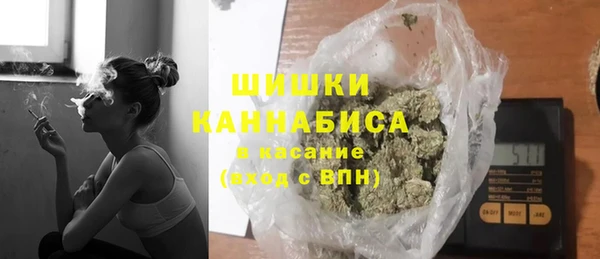сатива Бородино