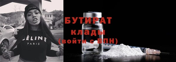 сатива Бородино