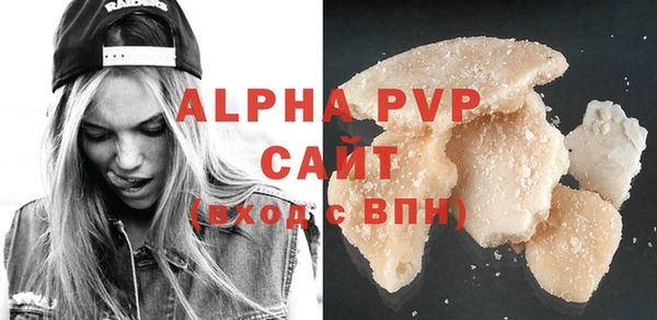 сатива Бородино
