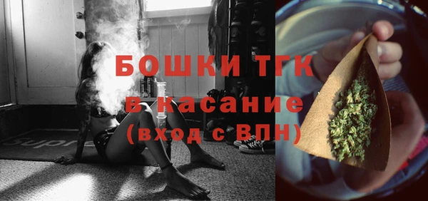 сатива Бородино