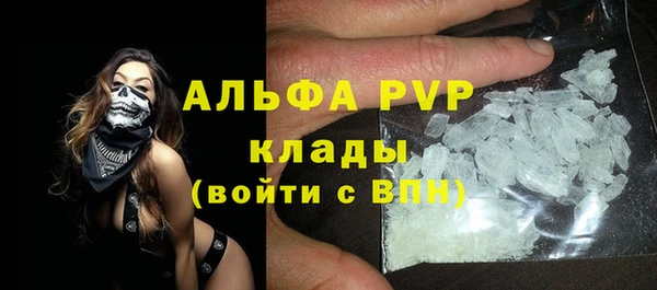сатива Бородино