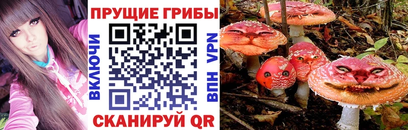 Галлюциногенные грибы мухоморы Новохопёрск